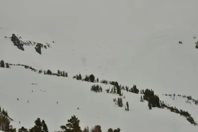 DSC_6731 (Large).JPG